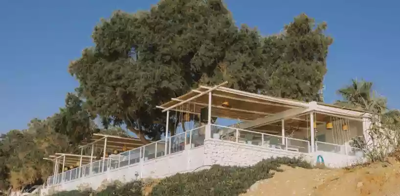 The Paraplous Restaurant