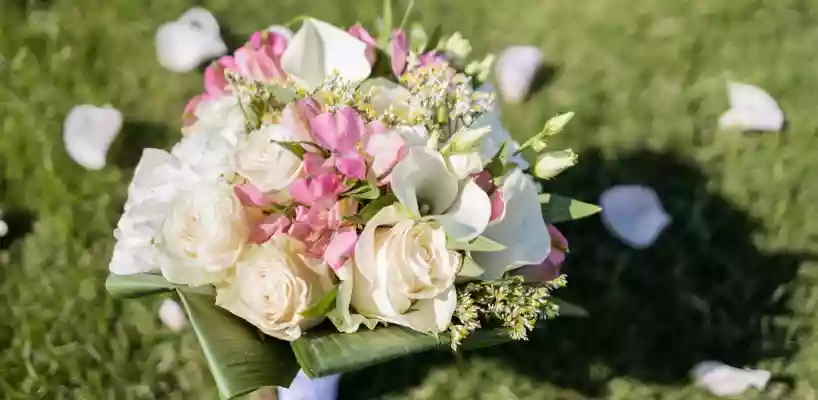 Mayia Exclusive Resort & Spa