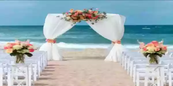 Pineapple Beach Club