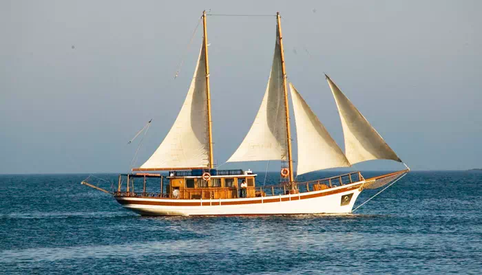 San-Antonio-Exterior-501